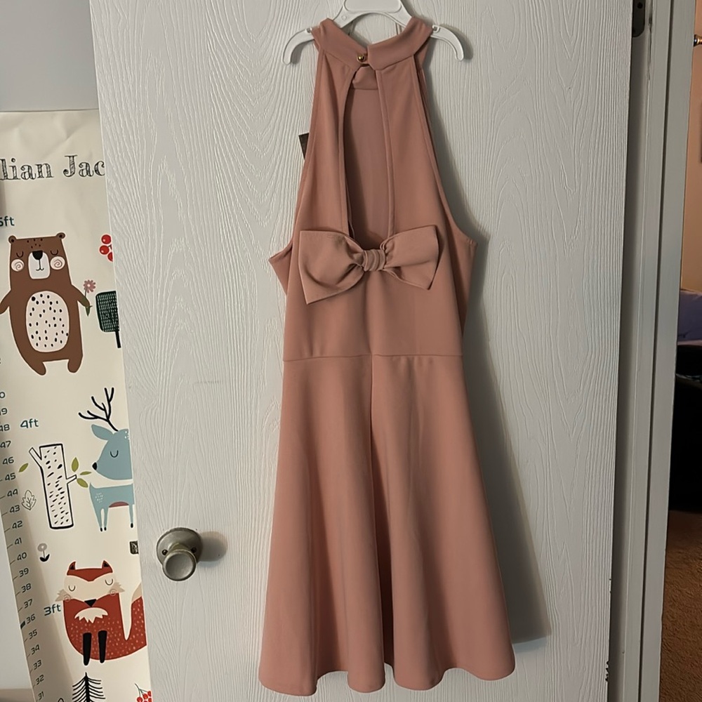 Charlott Russe Dress Size Large